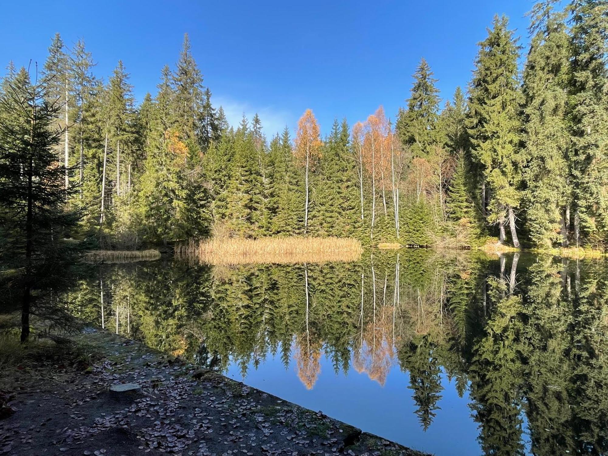 Chalupa U Kříže Harrachov Exterior foto
